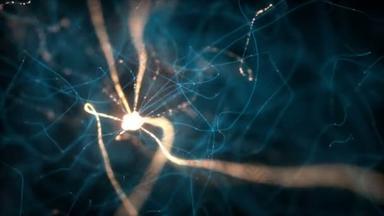 带电脉冲的互联神经元的三维图解.